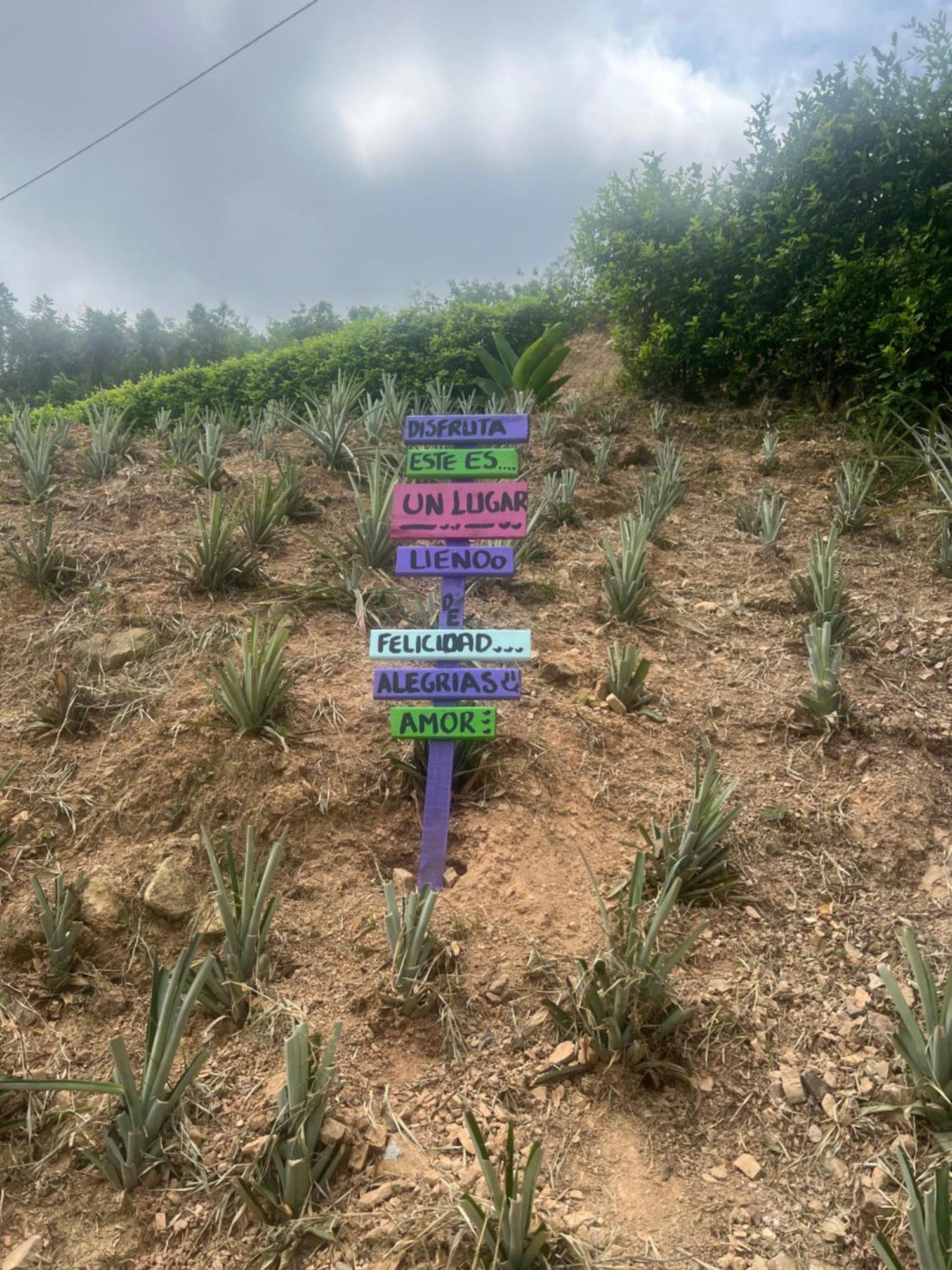 Finca Don Matias Melgar Εξωτερικό φωτογραφία